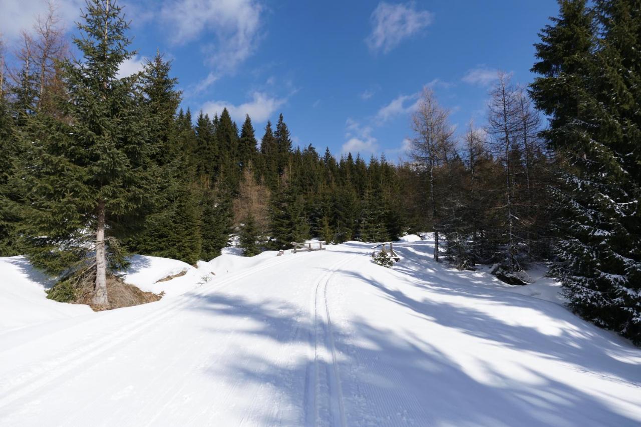 Willa Józefina z mini SPA Szklarska Poręba Exterior foto